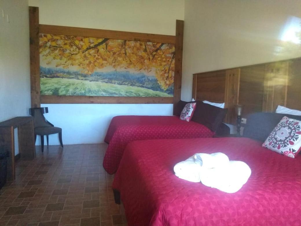 Hotel Hacienda Las Marias Meoqui エクステリア 写真