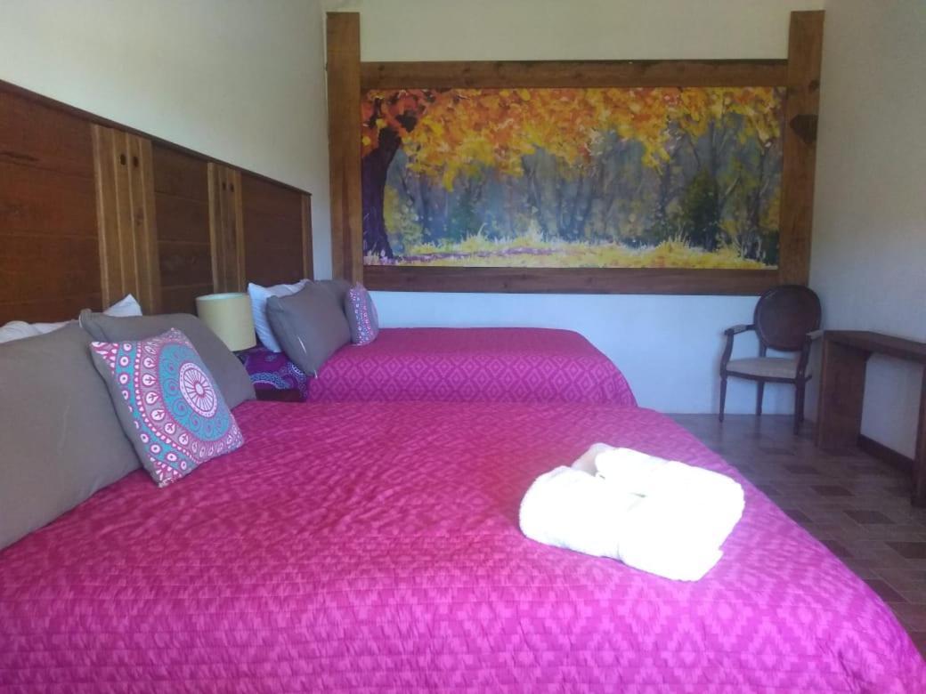 Hotel Hacienda Las Marias Meoqui エクステリア 写真